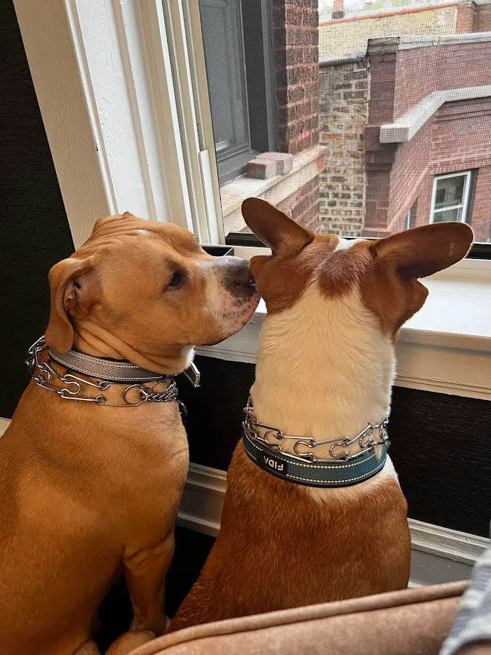Broadway Animal Hospital 12