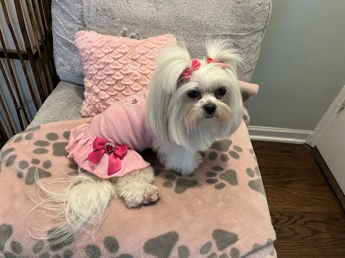 Broadway Animal Hospital 12