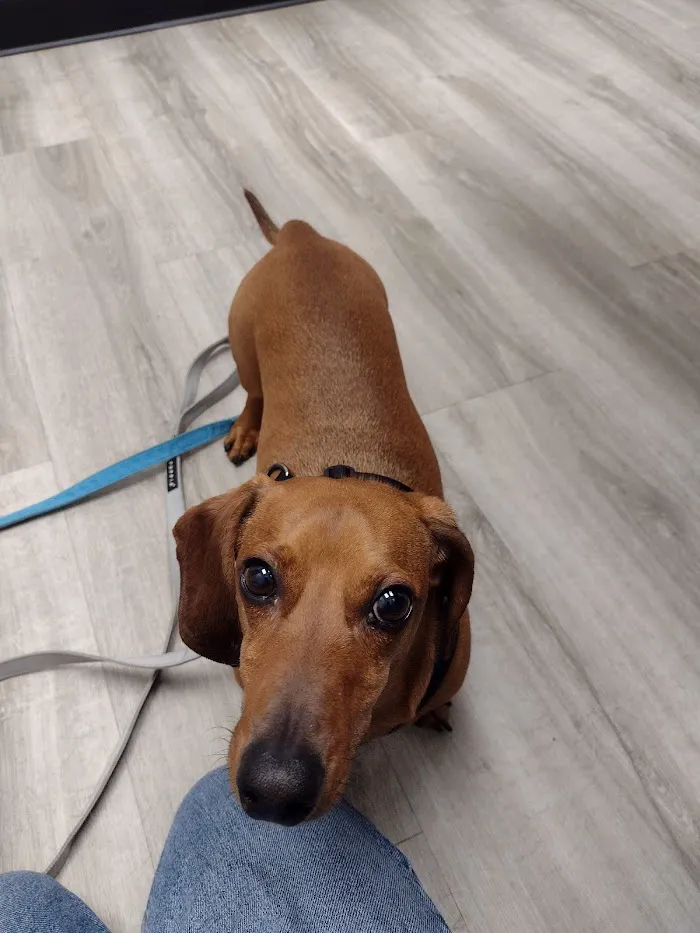 Broadway Animal Hospital 12