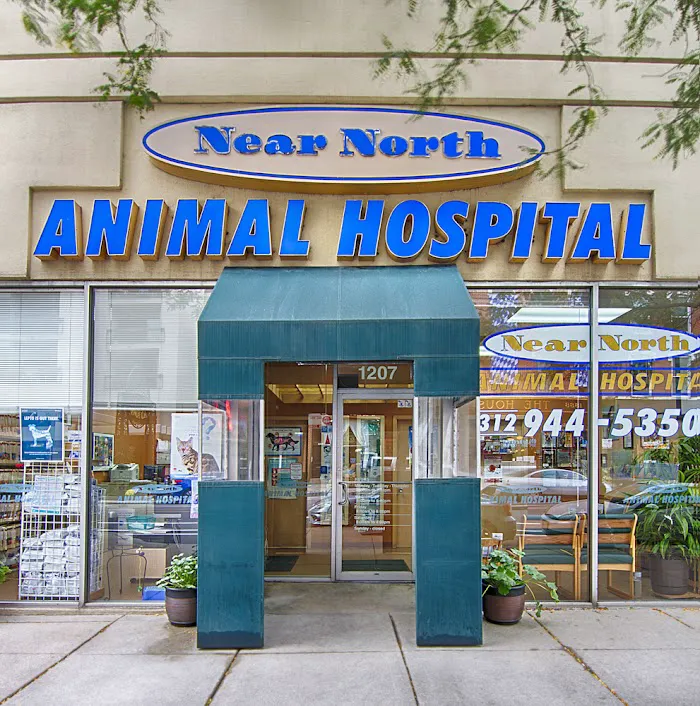 Near North Animal Hospital 12