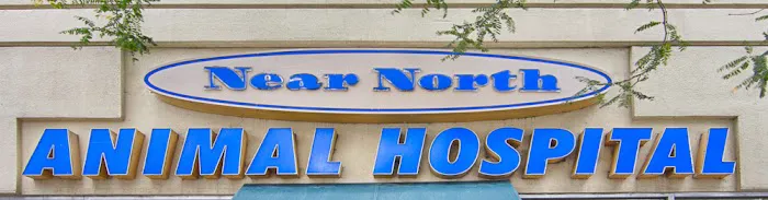 Near North Animal Hospital 12
