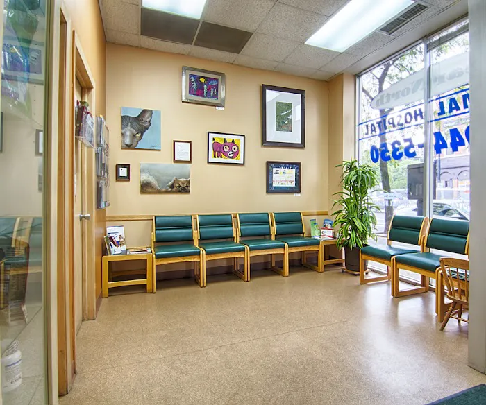 Near North Animal Hospital 12