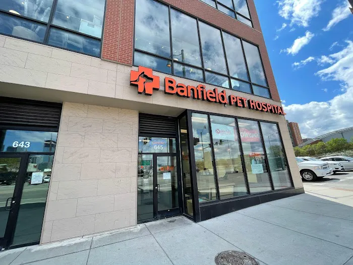 Banfield Pet Hospital 12