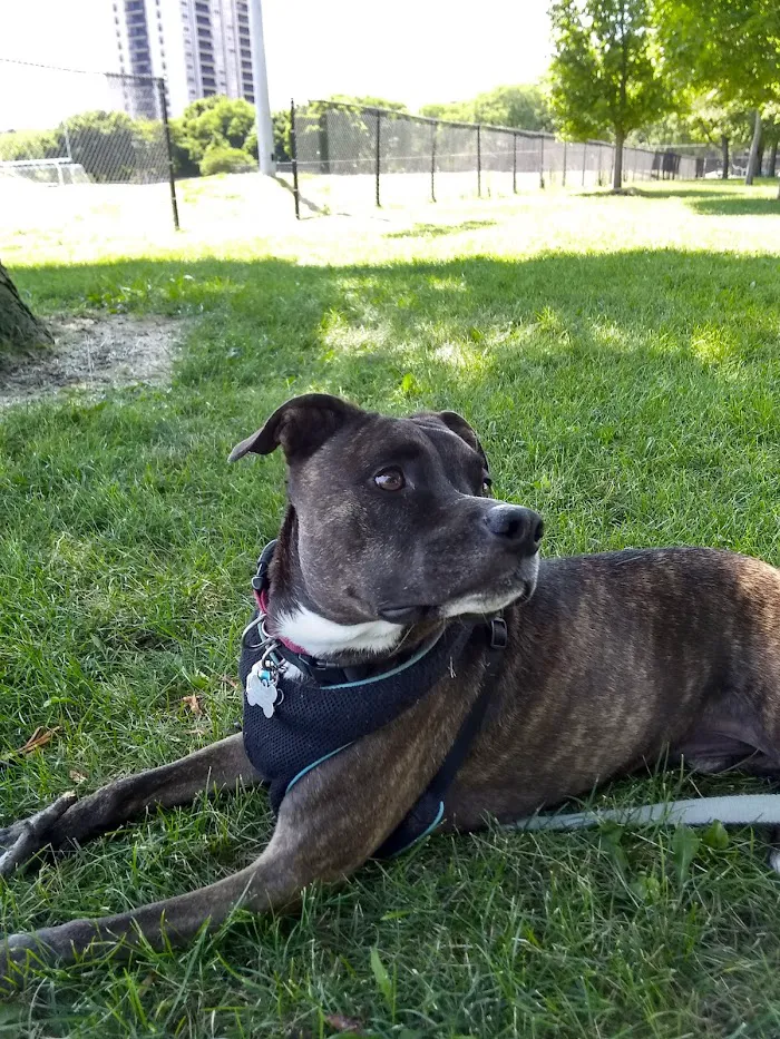 Banfield Pet Hospital 12