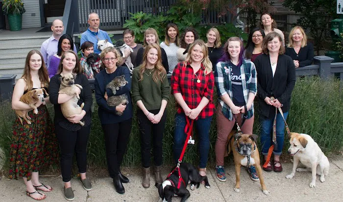 Animal Medical Center of Chicago 12