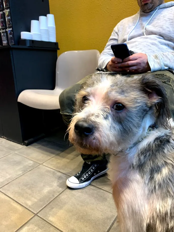 Higgins Animal Clinic 12