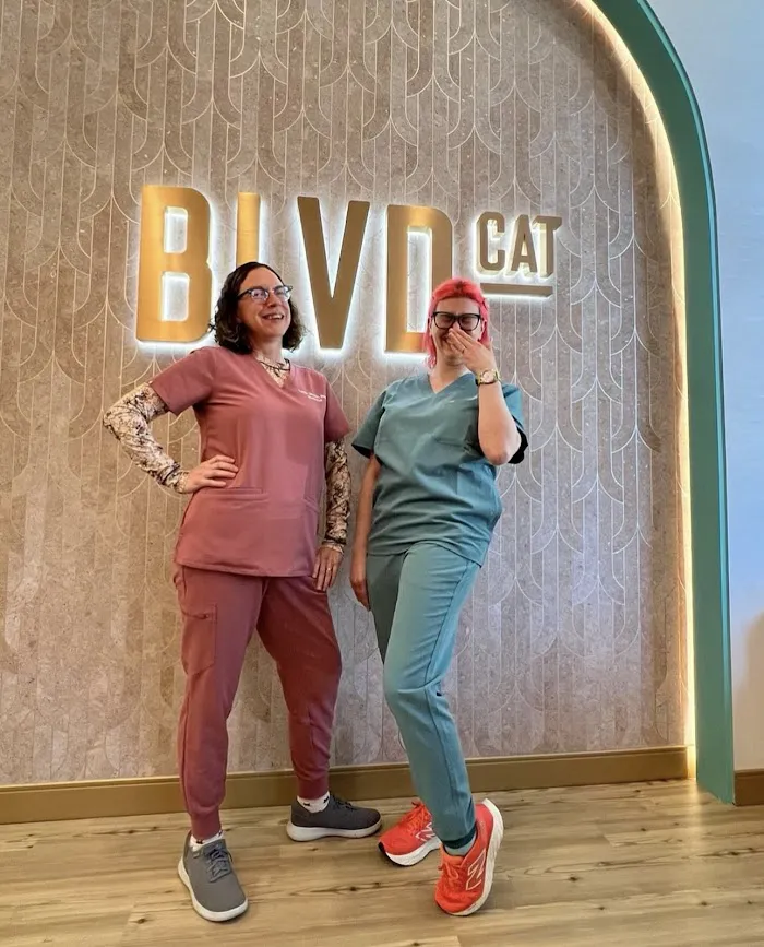 BLVD Cat 12