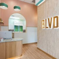 BLVD Cat ico