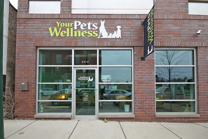 Your Pets Wellness (Bucktown), A Thrive Pet Healthcare Partner 12