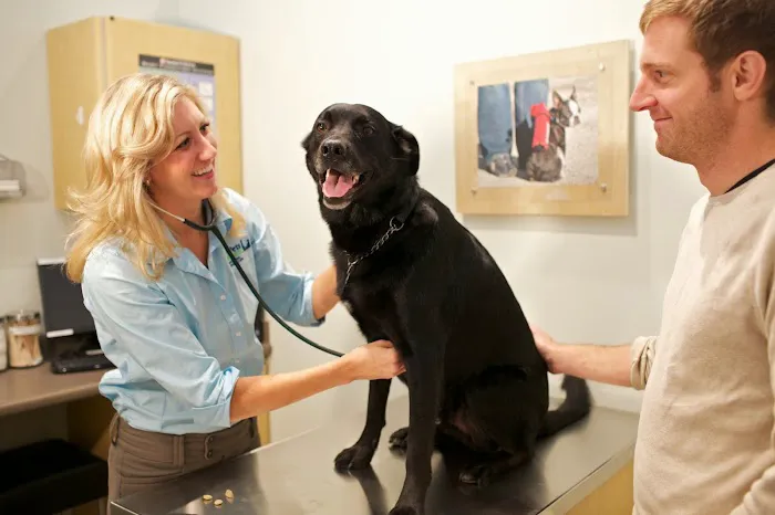Your Pets Wellness (Bucktown), A Thrive Pet Healthcare Partner 12