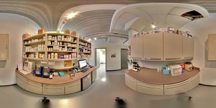 Your Pets Wellness (Bucktown), A Thrive Pet Healthcare Partner 12