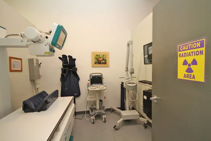 Your Pets Wellness (Bucktown), A Thrive Pet Healthcare Partner 12