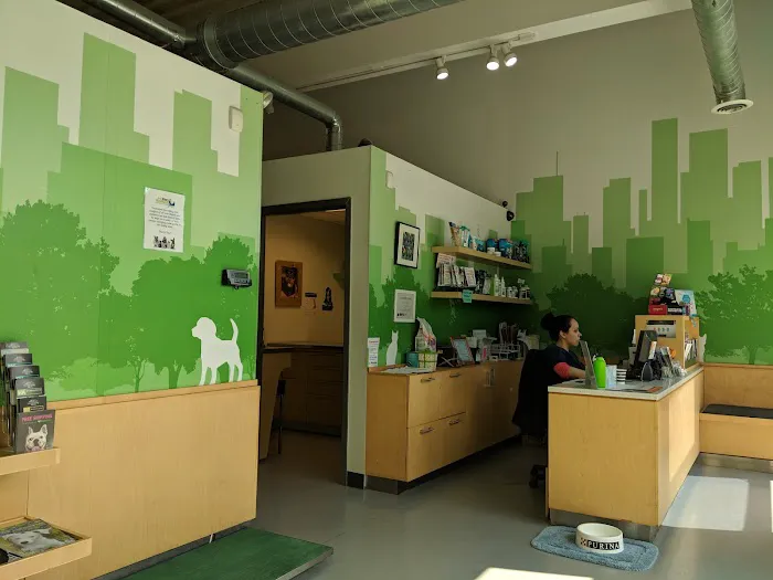 Your Pets Wellness (Bucktown), A Thrive Pet Healthcare Partner 12