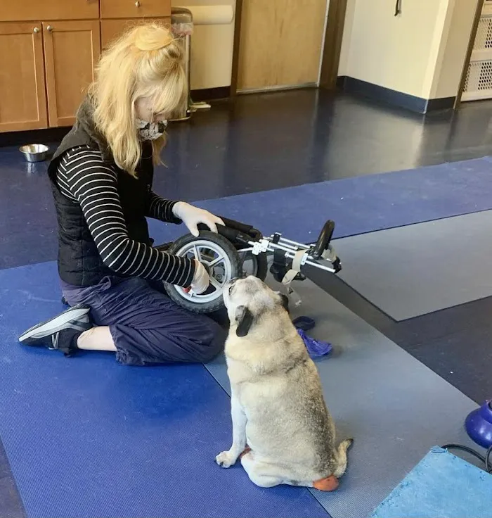 Integrative Pet Care 12