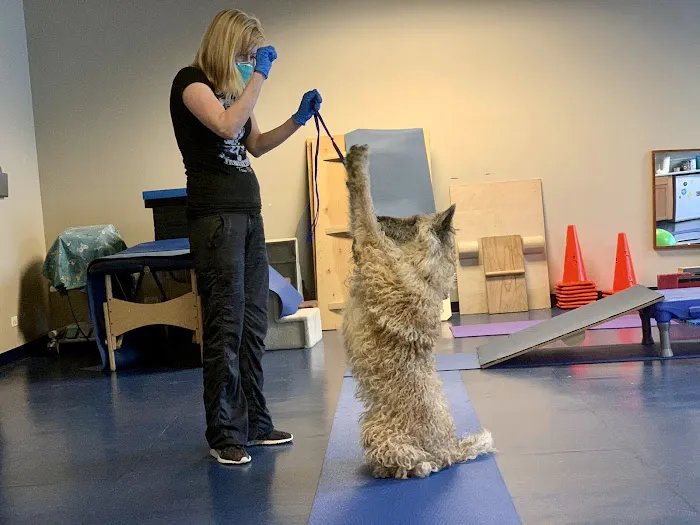 Integrative Pet Care 12