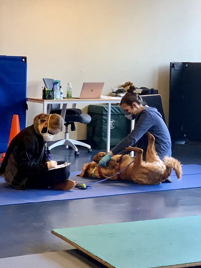 Integrative Pet Care 12