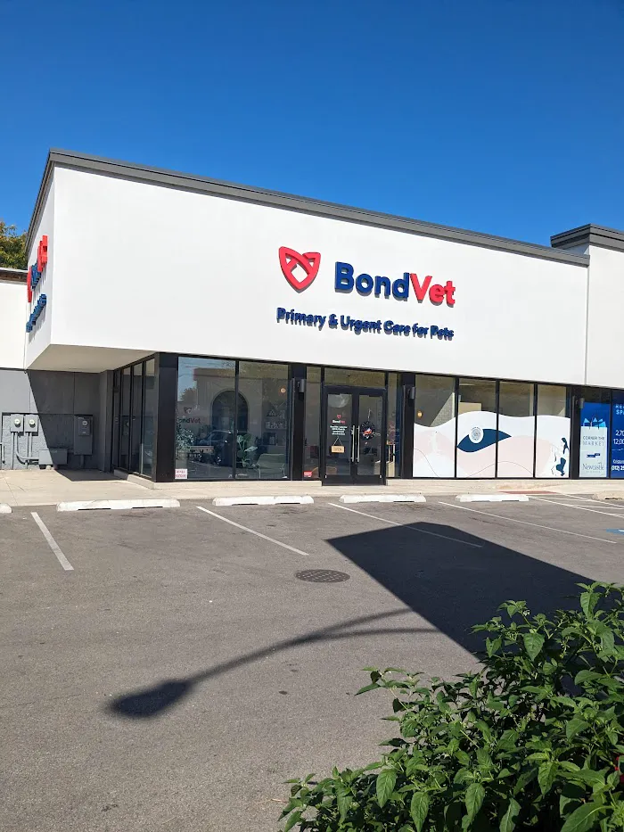 Bond Vet - Lakeview 12