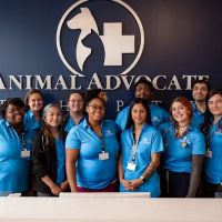 Animal Advocate Pet Hospital ico