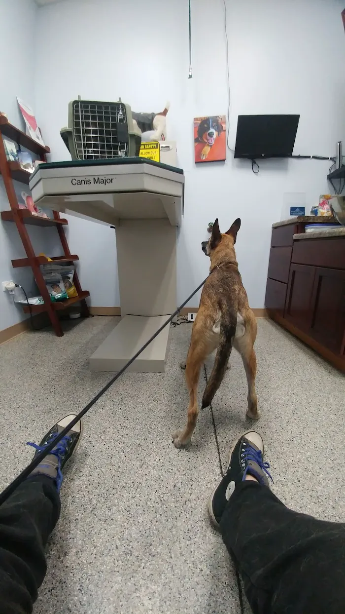 Bronzeville Animal Clinic 12