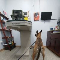 Bronzeville Animal Clinic ico