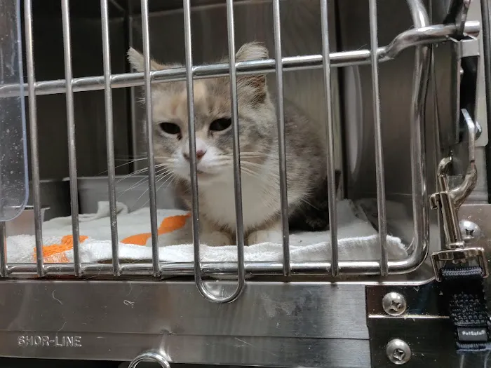 PAWS Chicago Medical Center & Lurie Clinic 6