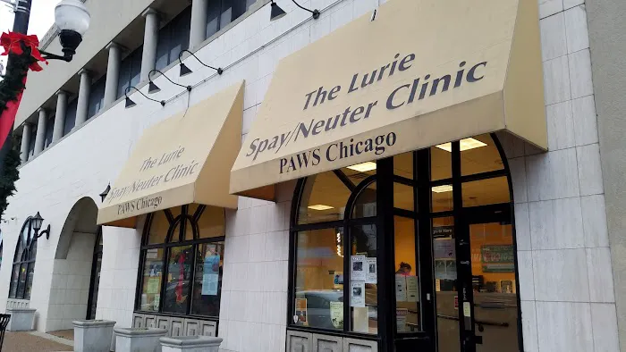 PAWS Chicago Medical Center & Lurie Clinic 2