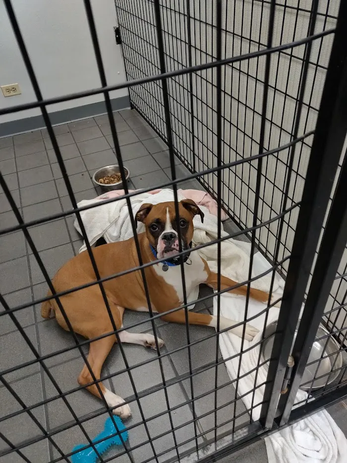 PAWS Chicago Medical Center & Lurie Clinic 10
