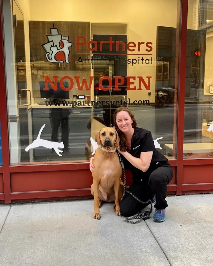 Partners Animal Hospital South Loop 0