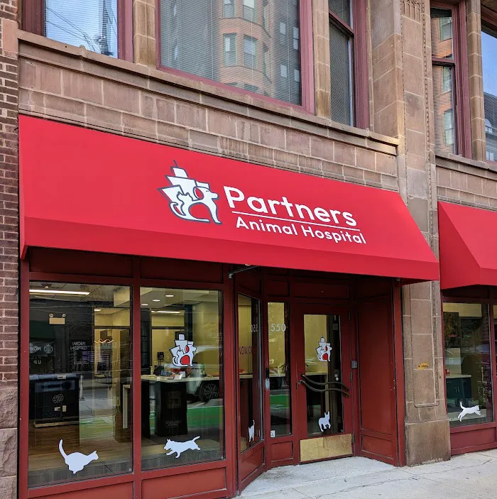 Partners Animal Hospital South Loop 3