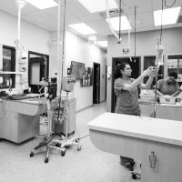 South Loop Animal Hospital ico