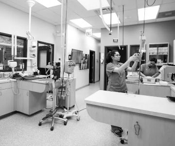 South Loop Animal Hospital