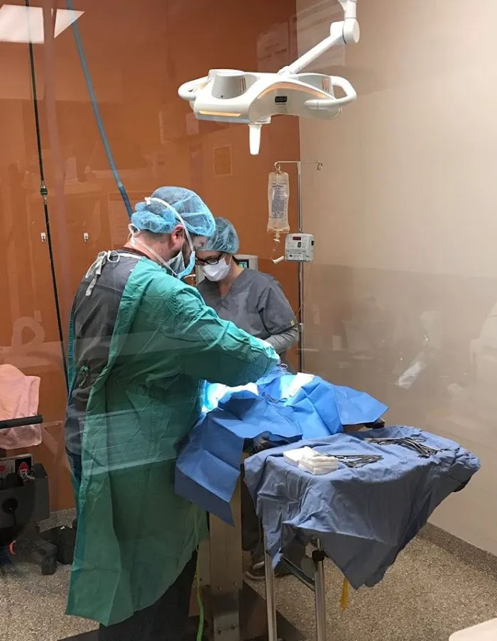 South Loop Animal Hospital 12