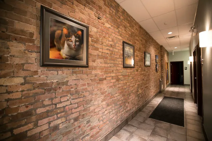South Loop Animal Hospital 12