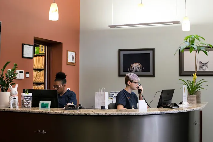 South Loop Animal Hospital 12