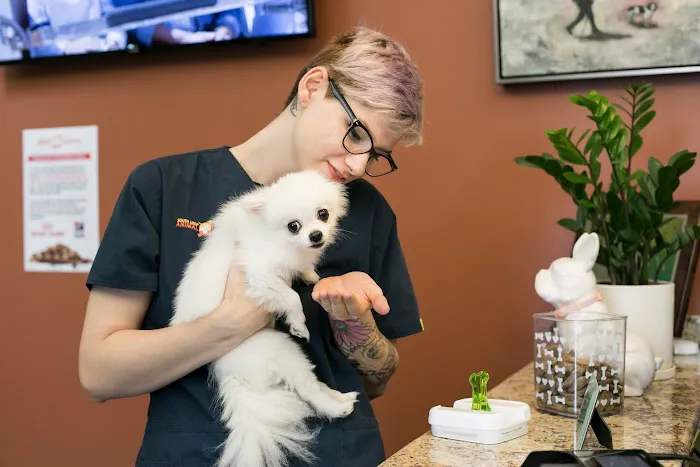 South Loop Animal Hospital 12