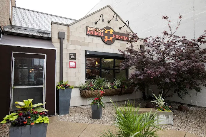 South Loop Animal Hospital 12