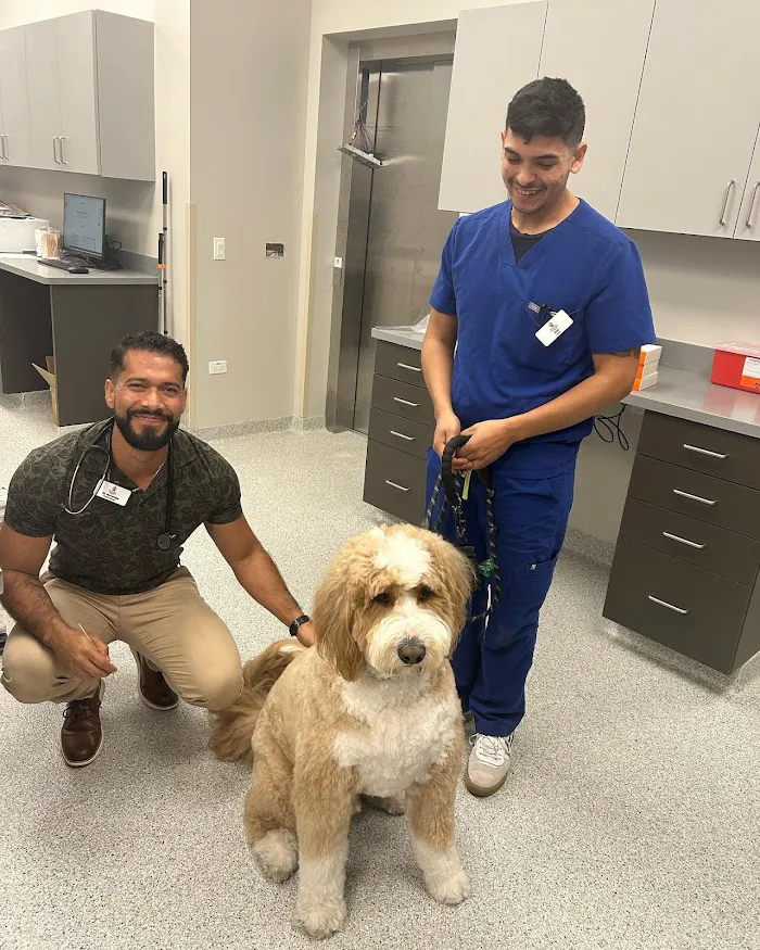 Partners Animal Hospital West Loop 12