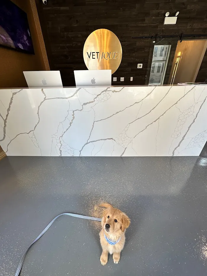 Vetique 9