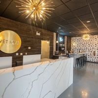 Vetique ico