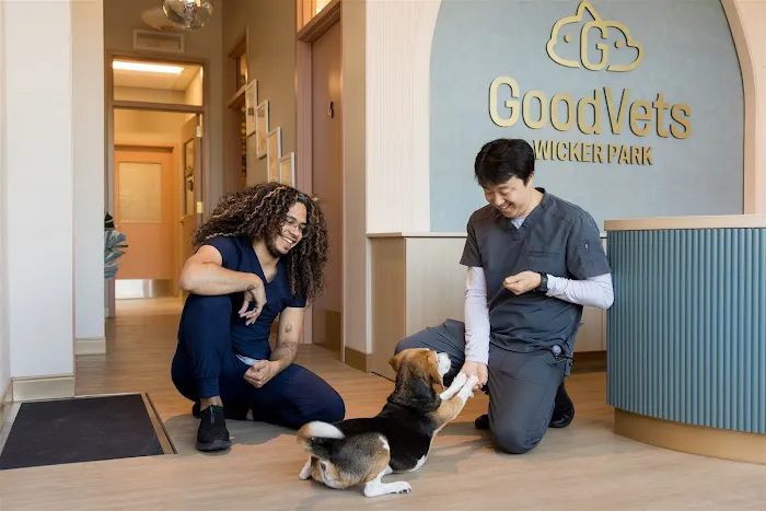 GoodVets Wicker Park 12