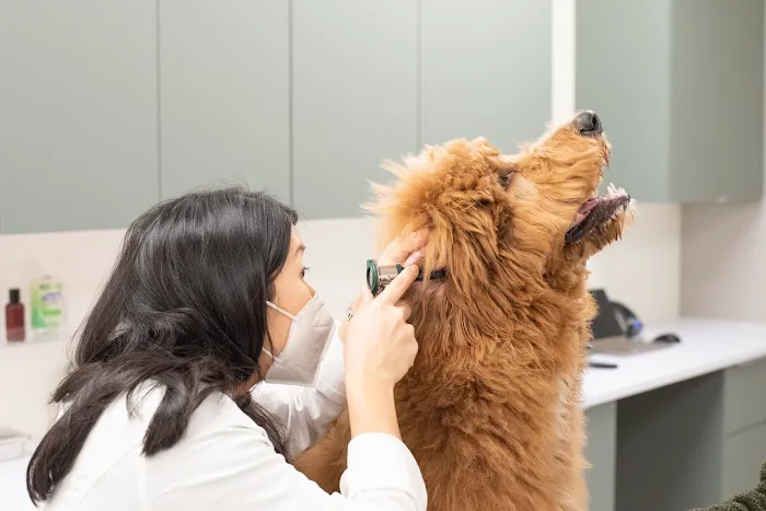 Kindred Veterinary 4