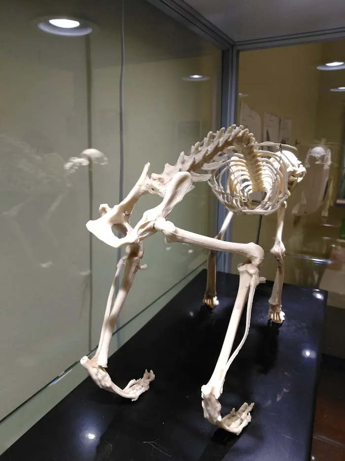 Brighton Park Animal Hospital 12