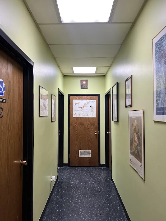 Brighton Park Animal Hospital 12