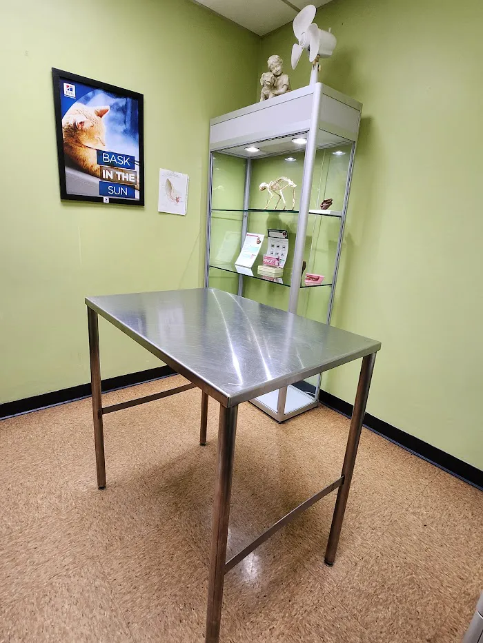 Brighton Park Animal Hospital 12