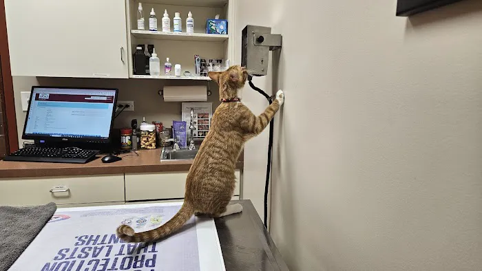 Uptown Animal Hospital 12