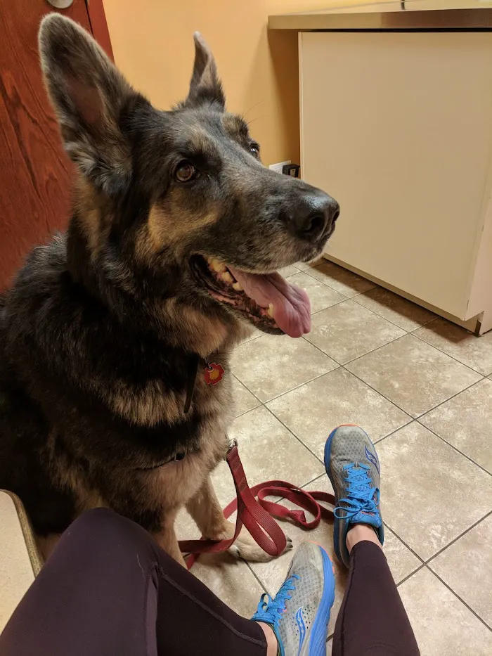 Uptown Animal Hospital 12