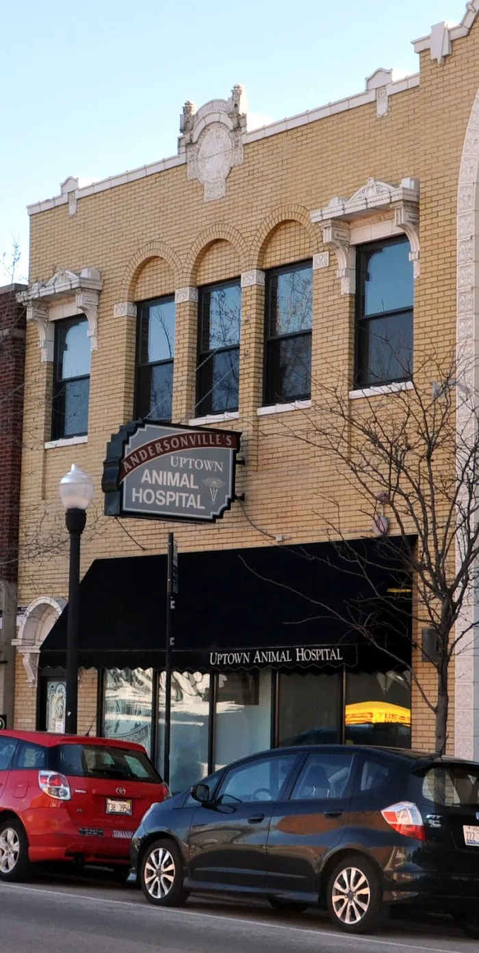 Uptown Animal Hospital 12