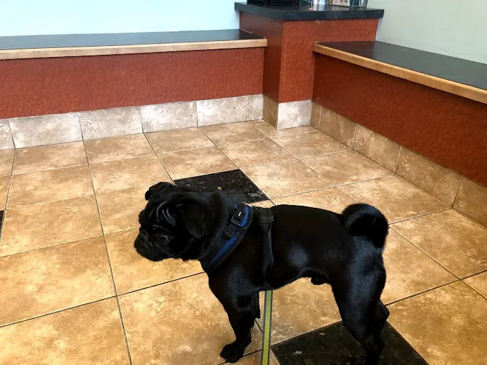 Uptown Animal Hospital 12