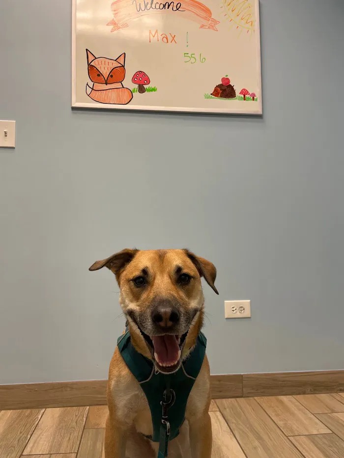 Ravenswood Animal Hospital LLC 12