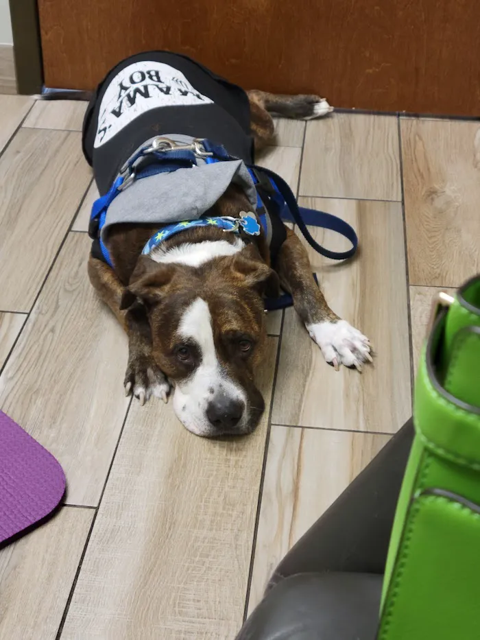Ravenswood Animal Hospital LLC 12